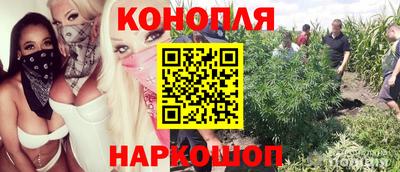 гидра Краснодар