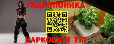 гидра Краснодар