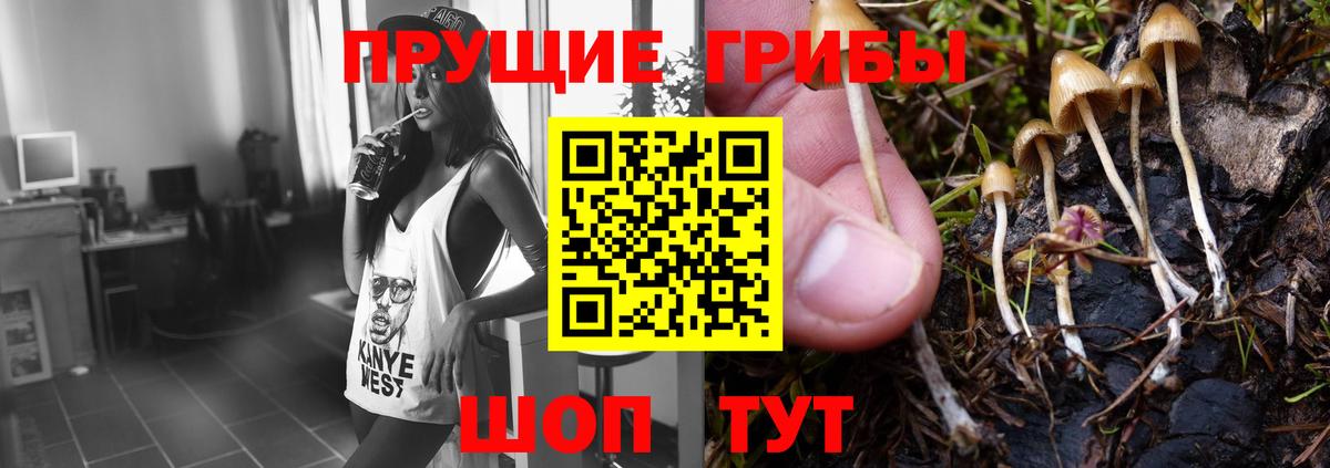 Псилоцибиновые грибы Magic Shrooms Кизляр